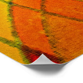 ヨッセフ・ジョセフ ポスター (角)