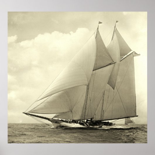 ヨットアメリカ1910 ポスター (正面)
