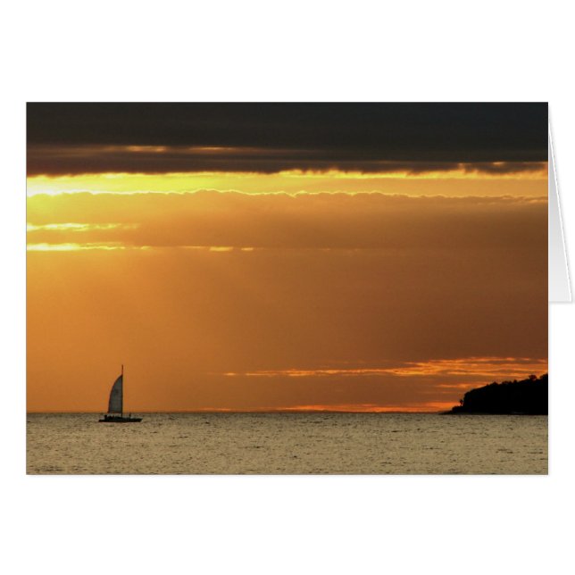 ヨット (正面横)