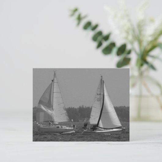 ヨット ポストカード (スタンド正面)