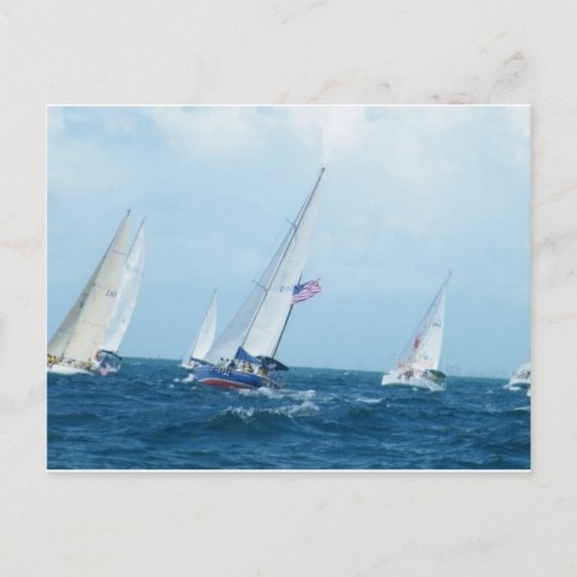 ヨット ポストカード (正面)