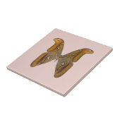 ヨナグニサン タイル (側面)