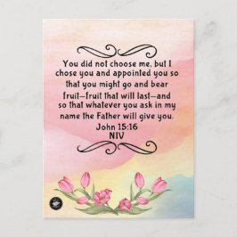 ヨハネのための聖書の詩のメモリーカード15:16 NIVポストカー ポストカード