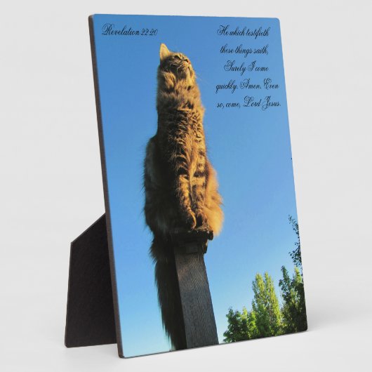 ヨハネの黙示録22:20ネコがイエスを待っている フォトプラーク (側面)