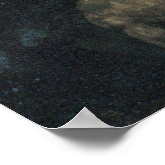 ヨハネス・フェルメールの赤い帽子をかぶった少女 ポスター (角)