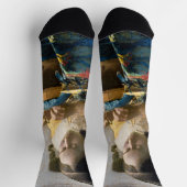 ヨハネス・ヴェルミーア – ザ・レーケメーカー ソックス (上部)