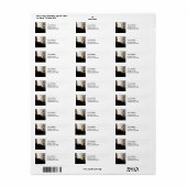 ヨハネス・ヴェルミーア – パールネックレス付き若い女性 ラベル (フルシート)