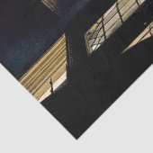 ヨハネス・ヴェルミーア – 地理学者 薄葉紙 (詳細)