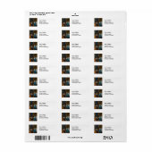 ヨハネス・ヴェルメール – レディ・アット・ア・バージナル ラベル (フルシート)