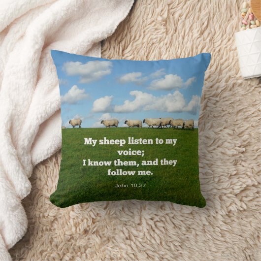 ヨハネ10:27, クッション (ブランケット)