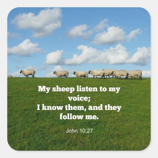 ヨハネ10:27 スクエアシール (正面)