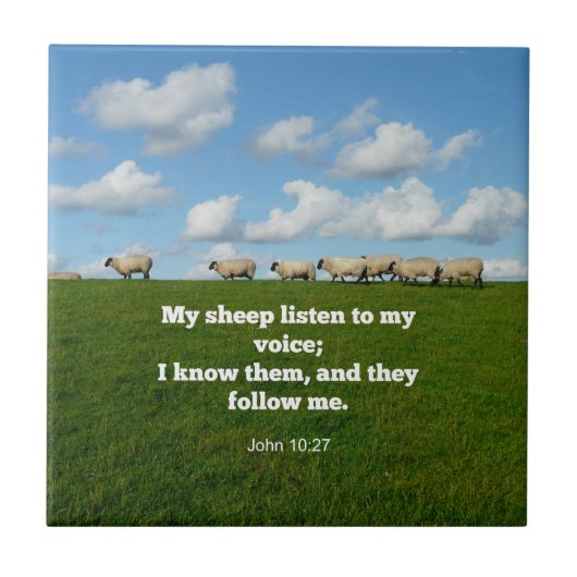 ヨハネ10:27, タイル (正面)