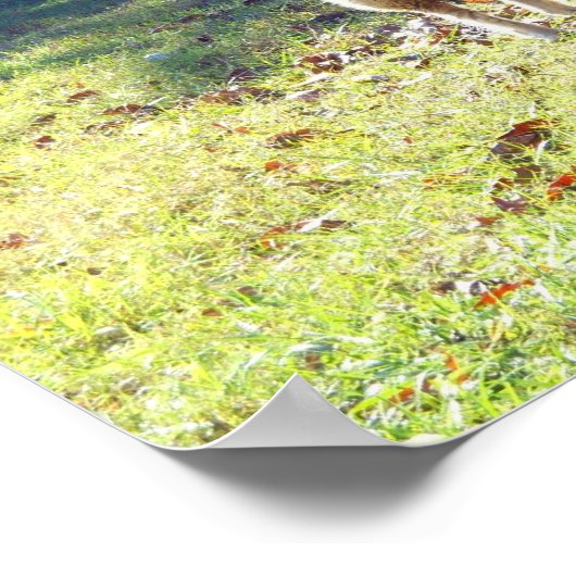 ヨハネ10:27 ポスター (角)