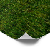 ヨハネ10:27, ポスター (角)