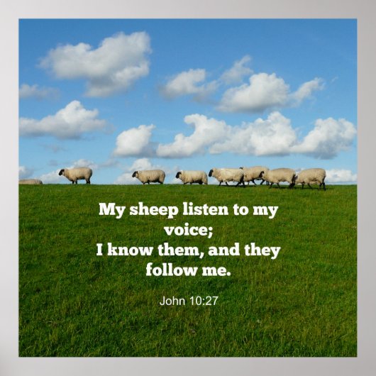 ヨハネ10:27, ポスター (正面)