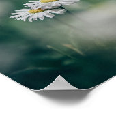 ヨハネ13:34わたしは、あなたがたに愛したように、互いに愛し合いなさい ポスター (角)