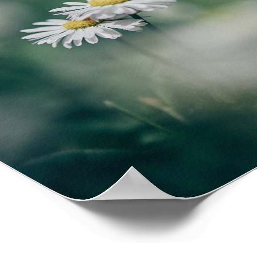 ヨハネ13:34わたしは、あなたがたに愛したように、互いに愛し合いなさい ポスター (角)