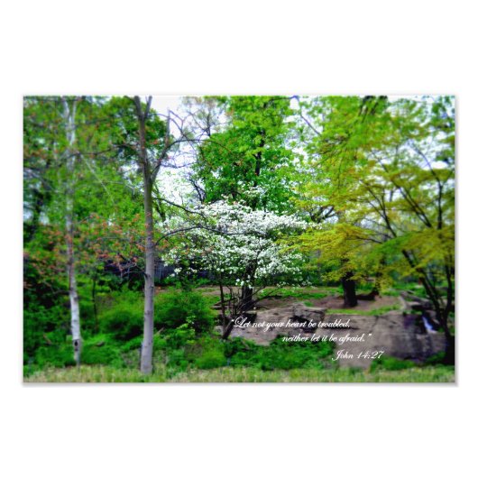 ヨハネ14:27あなたがたのハートを悩ませるな！ フォトプリント            (正面)