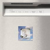 ヨハネ14:27わたしの平安与え私は雲の中で犬を聖句 マグネット (インサイチュ (食洗機))