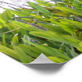 ヨハネ14:6 ポスター (角)