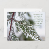 ヨハネ15:13氷の常緑葉書 ポストカード (正面/裏面)