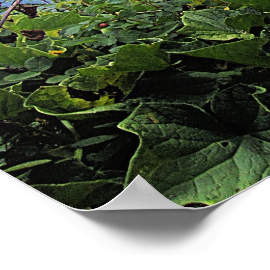 ヨハネ15:27わたしはあなた離れと共に平和を誓う。わたしの平和は与えわたし ポスター (角)