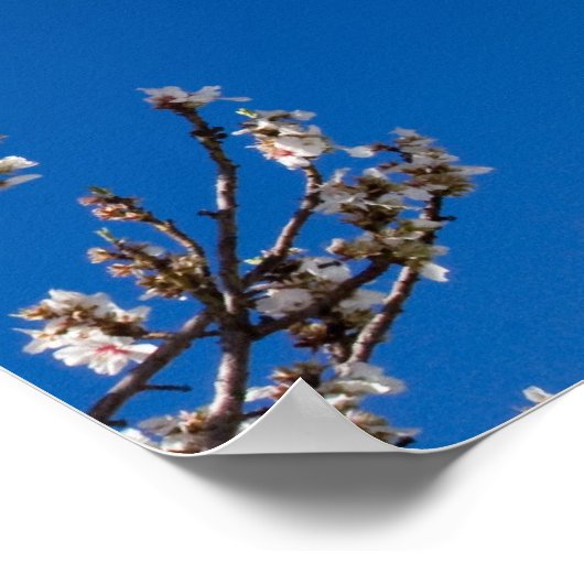 ヨハネ15:4-5信者 ポスター (角)