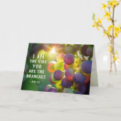 ヨハネ15:5わたしはつる植物である カード (黄色い花)