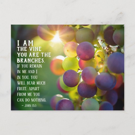 ヨハネ15:5わたしはつる植物である ポストカード (正面)