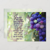 ヨハネ15:5わたしはつる植物である ポストカード (正面/裏面)