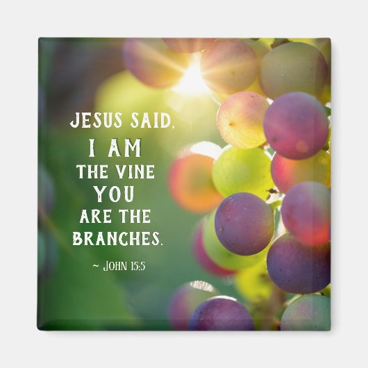 ヨハネ15:5わたしはつる植物である マグネット (正面)