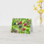 ヨハネ15:5 カード (黄色い花)