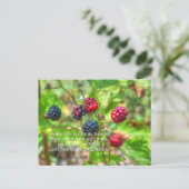 ヨハネ15:5 ポストカード (スタンド正面)