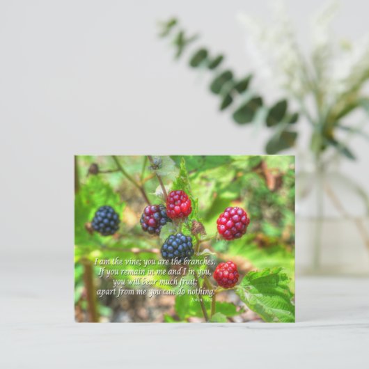 ヨハネ15:5 ポストカード (スタンド正面)