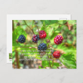 ヨハネ15:5 ポストカード (正面/裏面)