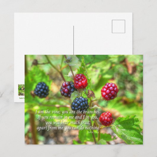 ヨハネ15:5 ポストカード (正面/裏面)