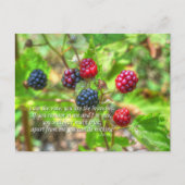 ヨハネ15:5 ポストカード (正面)