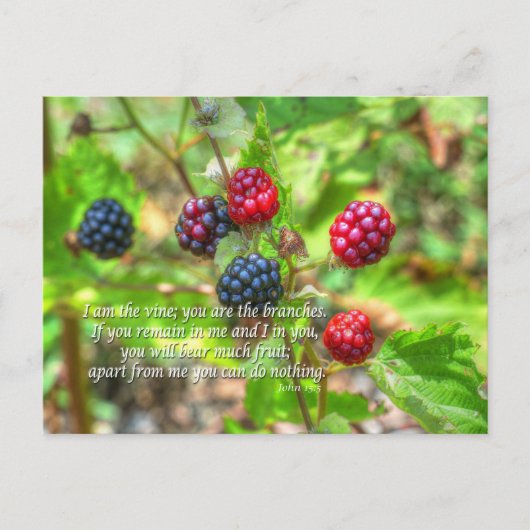 ヨハネ15:5 ポストカード (正面)