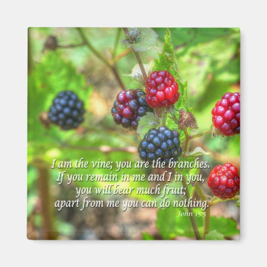 ヨハネ15:5 マグネット (正面)