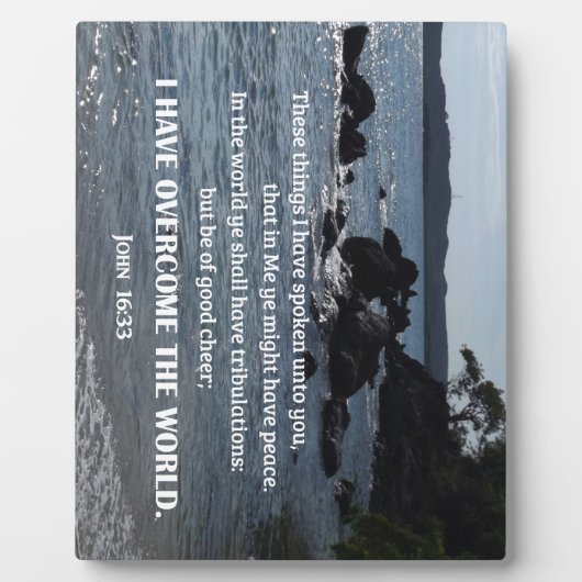 ヨハネ16:33わたしはあなたにこ話れらのものを フォトプラーク (正面)