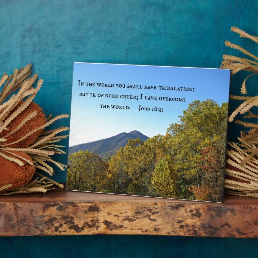 ヨハネ16:33世の中で、あなたがたは艱難を受けるであろう。 フォトプラーク (側面)