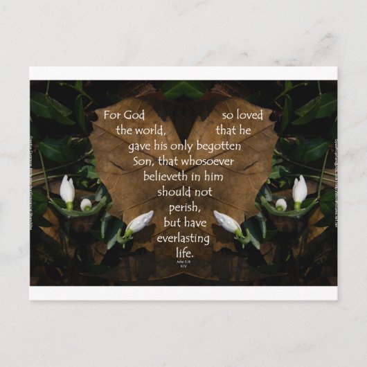 ヨハネ3:16王ヤコブハート葉 ポストカード (正面)