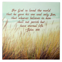 ヨハネ3:16神は世を愛されたからである。