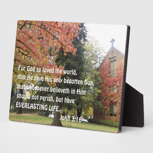 ヨハネ3:16神は世を愛されたからである フォトプラーク (側面)