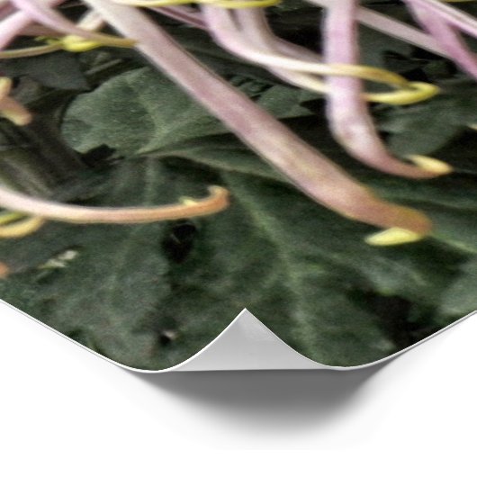 ヨハネ3:16神は世を愛されたからである ポスター (角)