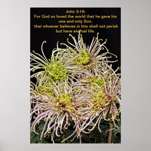 ヨハネ3:16神は世を愛されたからである ポスター (正面)