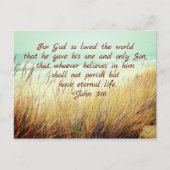 ヨハネ3:16神は世を愛されたからである。 ポストカード (正面)