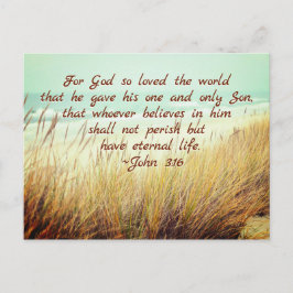 ヨハネ3:16神は世を愛されたからである。 ポストカード
