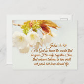 ヨハネ3:16神は世を愛し、聖なる書物、 経典 ポストカード (正面/裏面)