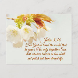 ヨハネ3:16神は世を愛し、聖なる書物、 経典 ポストカード